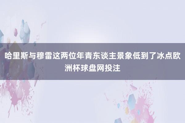 哈里斯与穆雷这两位年青东谈主景象低到了冰点欧洲杯球盘网投注