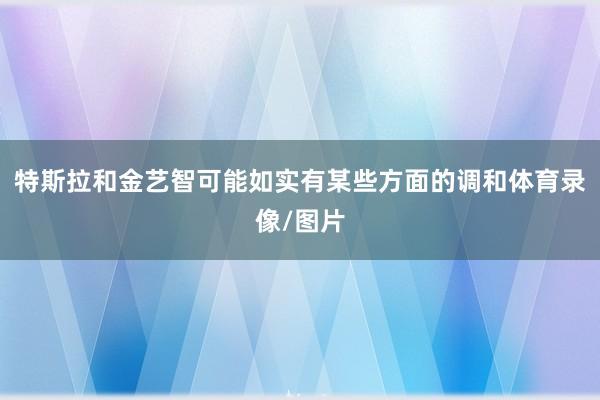 特斯拉和金艺智可能如实有某些方面的调和体育录像/图片