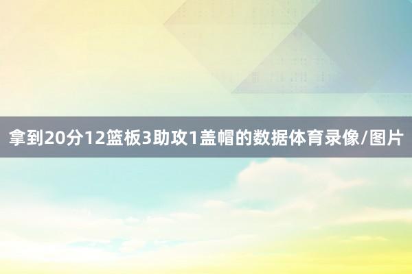 拿到20分12篮板3助攻1盖帽的数据体育录像/图片