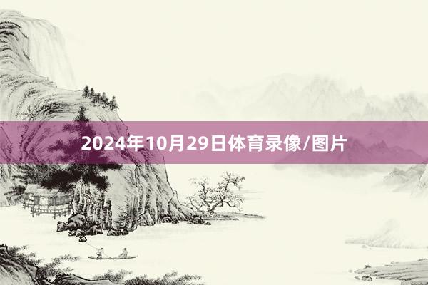 2024年10月29日体育录像/图片