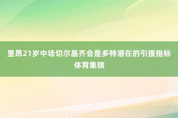 里昂21岁中场切尔基齐会是多特潜在的引援指标体育集锦