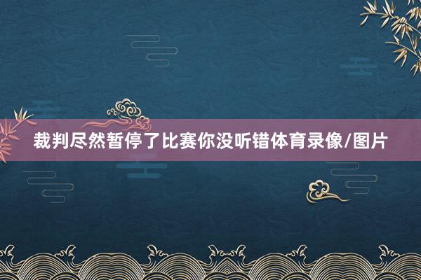 裁判尽然暂停了比赛你没听错体育录像/图片